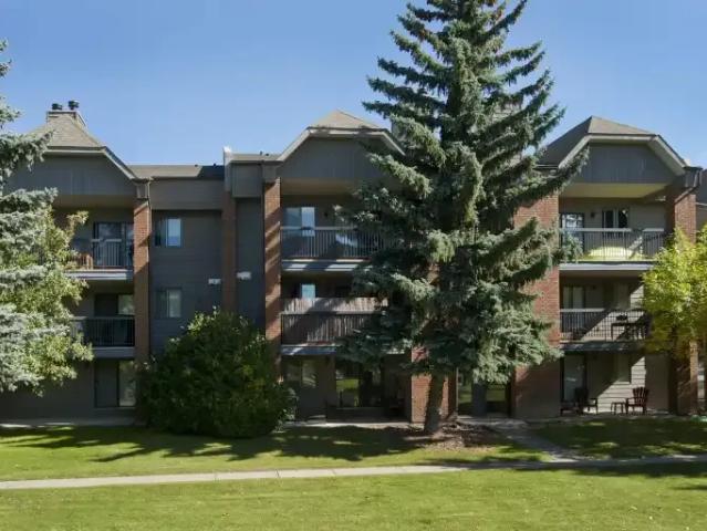 For Rent 2 Bedroom Apartment Calgary AB DLS100007874