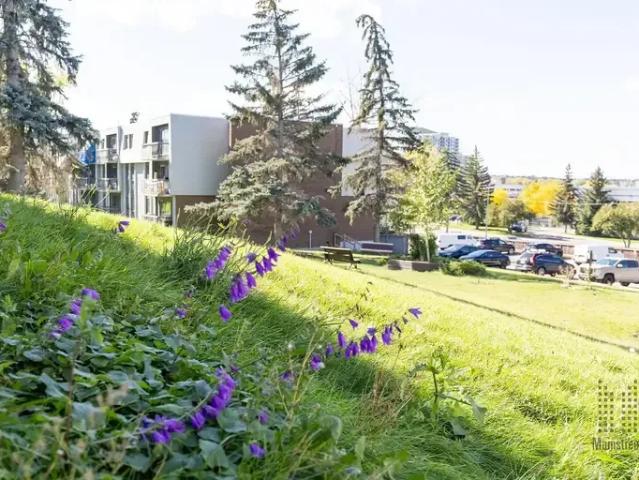 For Rent 2 Bedroom Apartment Calgary AB DS96586120