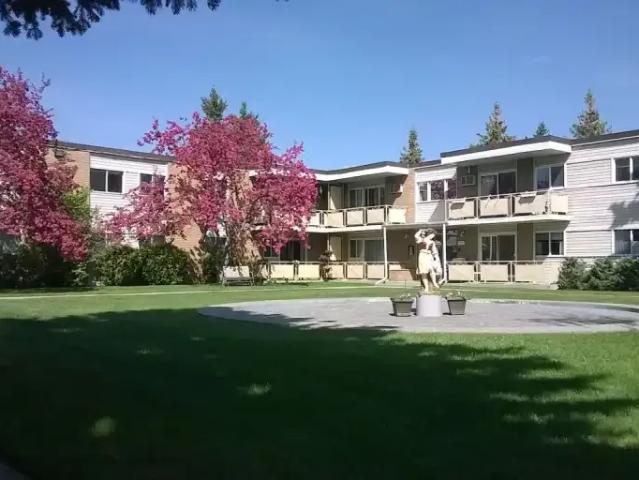 For Rent 2 Bedroom Apartment Calgary AB DS102467964