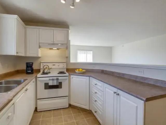 For Rent 2 Bedroom Apartment Calgary AB DS103243197