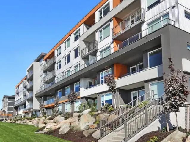 For Rent 2 Bedroom Apartment Campbell River BC DLS102752044