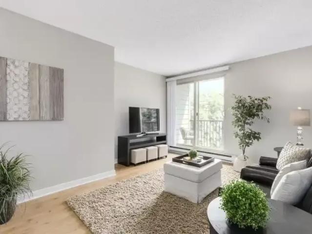 For Rent 2 Bedroom Apartment Coquitlam BC DS104986090