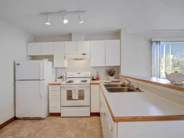 For Rent 2 Bedroom Apartment Edmonton AB DLS101789134