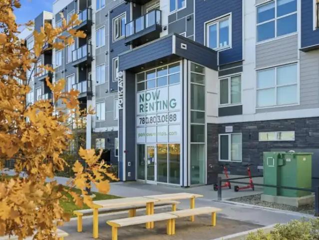 For Rent 2 Bedroom Apartment Edmonton AB DLS102018245