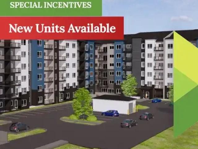For Rent 2 Bedroom Apartment Edmonton AB DLS102242902