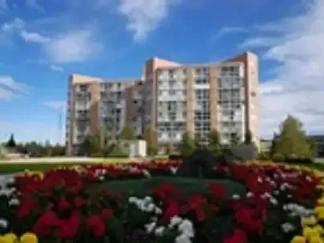 For Rent 2 Bedroom Apartment Edmonton AB DLS102271179