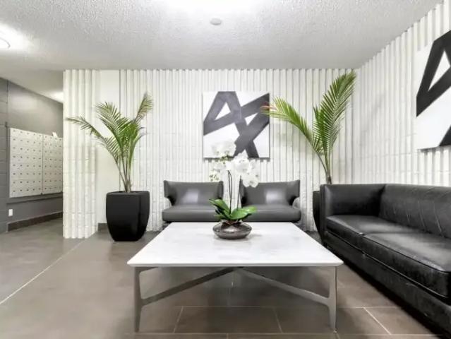 For Rent 2 Bedroom Apartment Edmonton AB DLS102845035