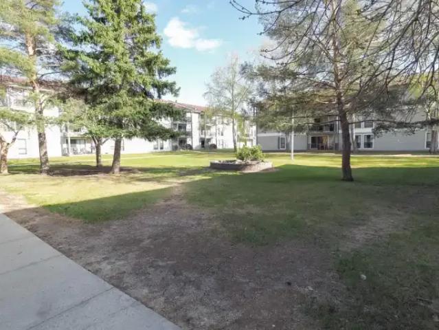 For Rent 2 Bedroom Apartment Edmonton AB DLS102845216