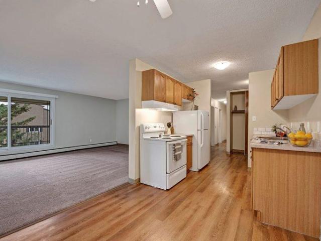 For Rent 2 Bedroom Apartment Edmonton AB DLS96586307
