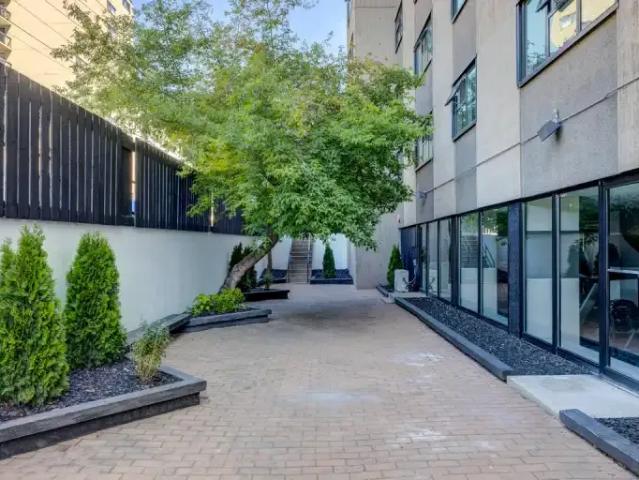 For Rent 2 Bedroom Apartment Edmonton AB DS104361926