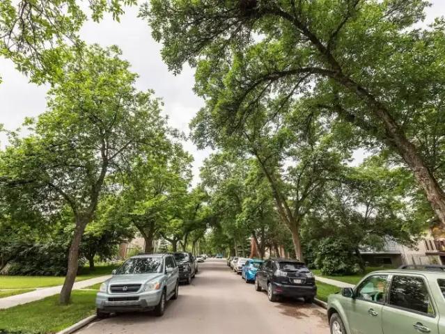 For Rent 2 Bedroom Apartment Edmonton AB DS104434352