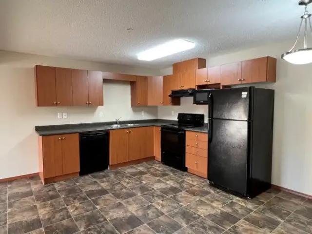 For Rent 2 Bedroom Apartment Edmonton AB DS102203459