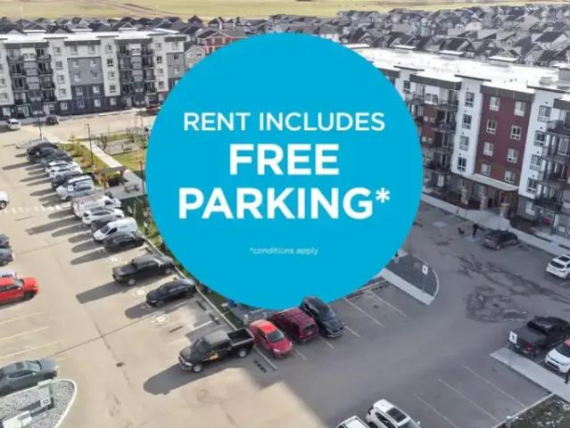 For Rent 2 Bedroom Apartment Edmonton AB DS103568446