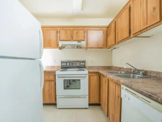 For Rent 2 Bedroom Apartment Edmonton AB DS103919825