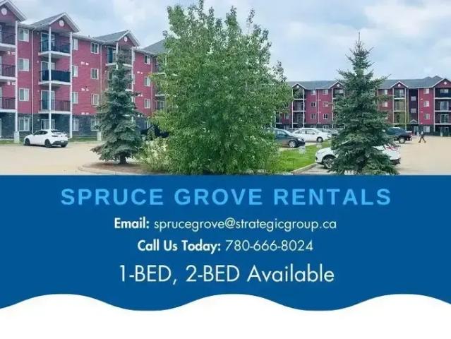 For Rent 2 Bedroom Apartment Edmonton AB DS91825503