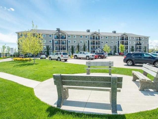 For Rent 2 Bedroom Apartment Edmonton AB DS96586228