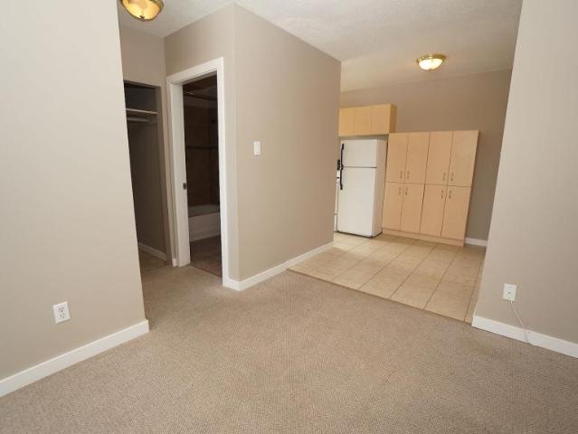 For Rent 2 Bedroom Apartment Edmonton AB DS97743951