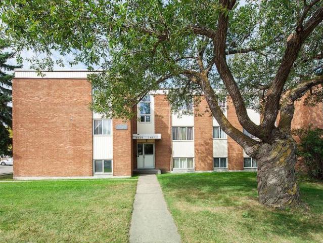 For Rent 2 Bedroom Apartment Edmonton AB DS97060867