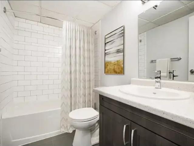 For Rent 2 Bedroom Apartment Kingston ON DLS101826843