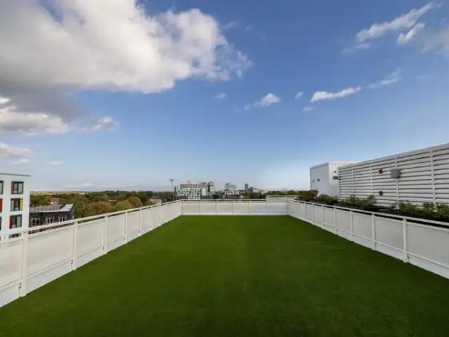 For Rent 2 Bedroom Apartment Kingston ON DLS96589066