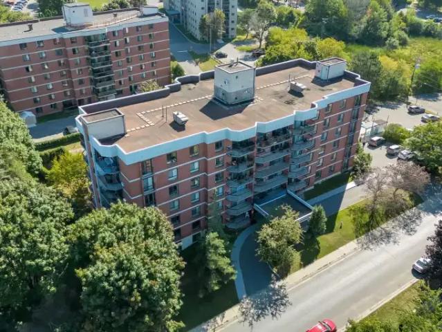 For Rent 2 Bedroom Apartment Kingston ON DS104434162