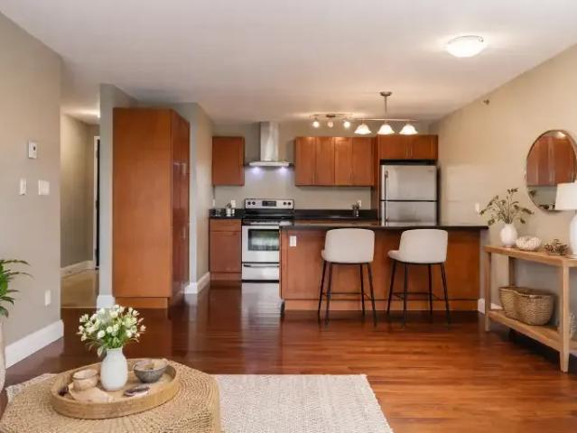 For Rent 2 Bedroom Apartment Kingston ON DS101826985