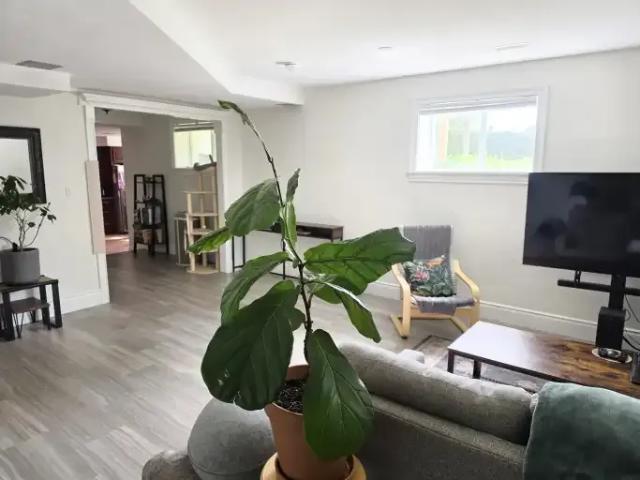 For Rent 2 Bedroom Apartment Kingston ON DS103487298