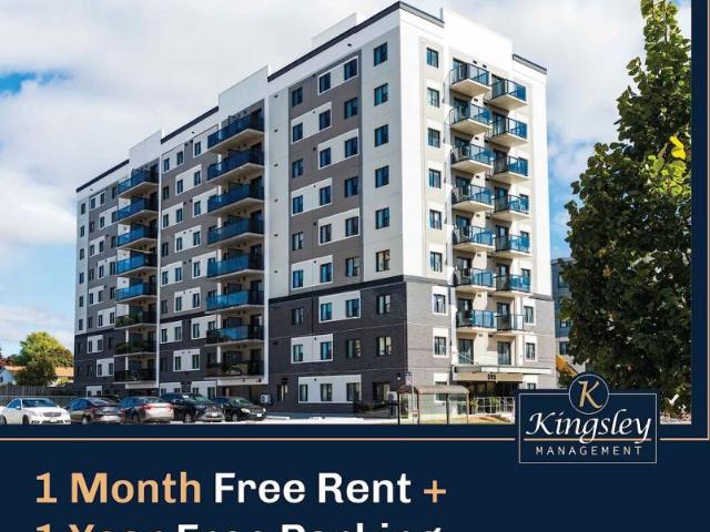 For Rent 2 Bedroom Apartment Kitchener ON DLS98313410