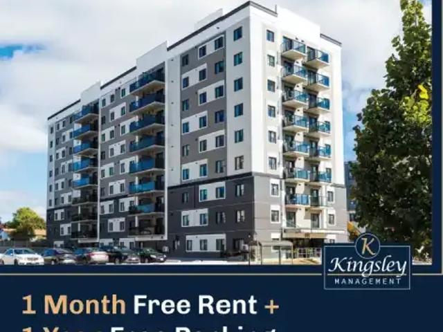 For Rent 2 Bedroom Apartment Kitchener ON DLS99222168