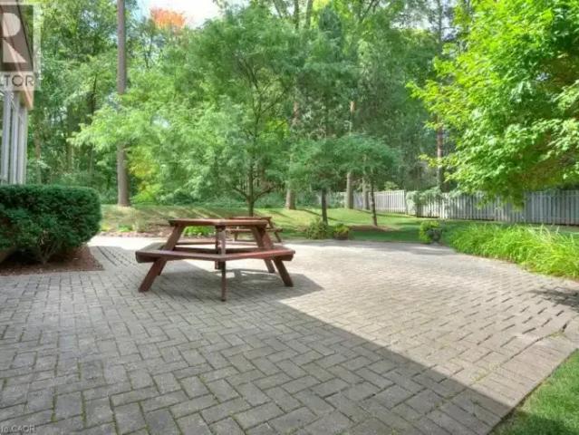 For Rent 2 Bedroom Apartment Kitchener ON DLS100600587