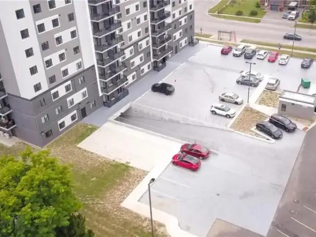 For Rent 2 Bedroom Apartment Kitchener ON DLS100669205