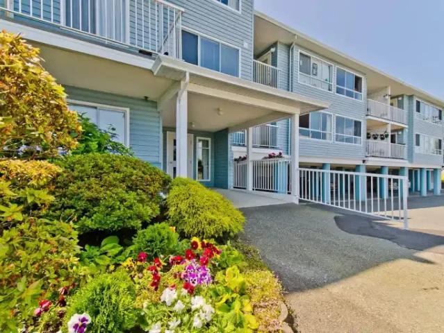 For Rent 2 Bedroom Apartment Ladysmith BC DS105047135