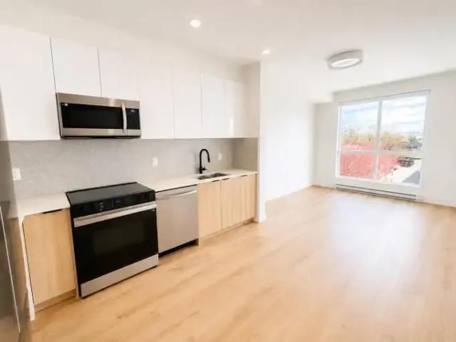 For Rent 2 Bedroom Apartment Langley BC DS102794927
