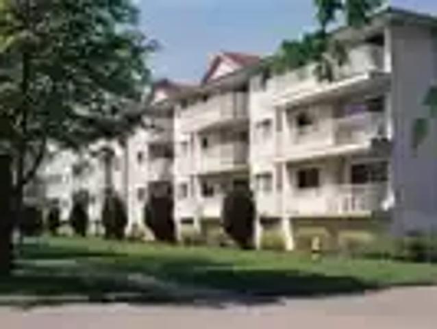 For Rent 2 Bedroom Apartment Langley BC DS103215628