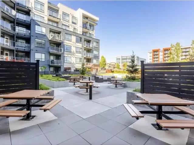 For Rent 2 Bedroom Apartment Langley BC DS104471043