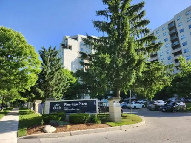 For Rent 2 Bedroom Apartment London ON DS101185531