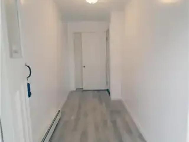 For Rent 2 Bedroom Apartment London ON DS103879616