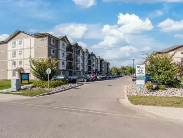 For Rent 2 Bedroom Apartment Portage La Prairie MB DS102700349