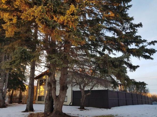 For Rent 2 Bedroom Apartment Red Deer AB DLS101040875