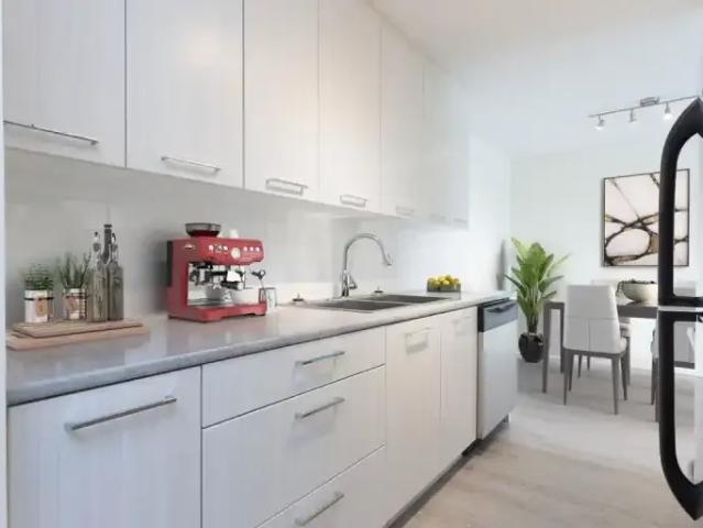 For Rent 2 Bedroom Apartment Red Deer AB DLS101825312