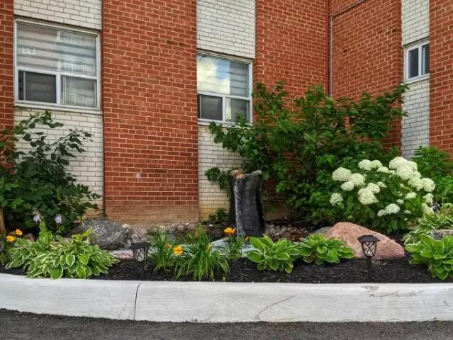 For Rent 2 Bedroom Apartment Richmond Hill ON DS103920463