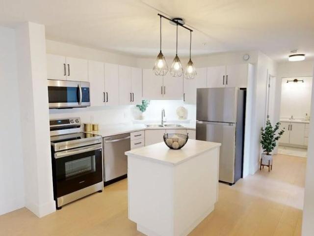 For Rent 2 Bedroom Apartment Riverview NB DLS98314521