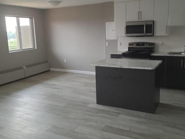 For Rent 2 Bedroom Apartment Sudbury ON DS97005736