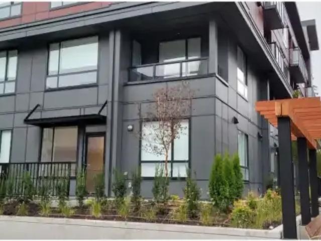 For Rent 2 Bedroom Apartment Surrey BC DS102468507