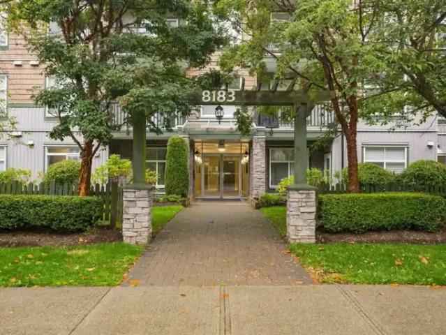 For Rent 2 Bedroom Apartment Surrey BC DS103487279