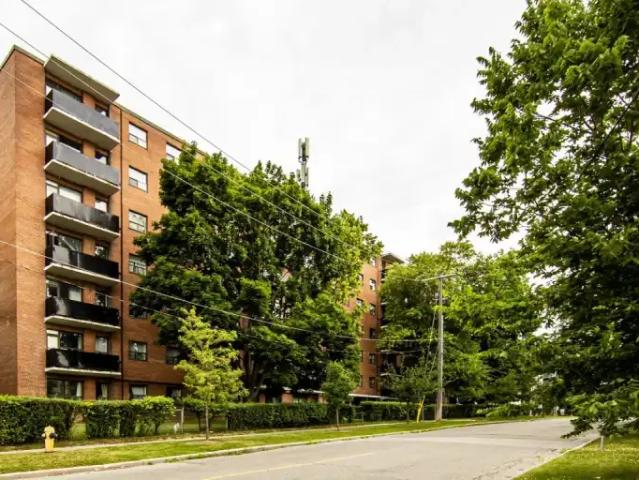 For Rent 2 Bedroom Apartment Scarborough ON DS103568898
