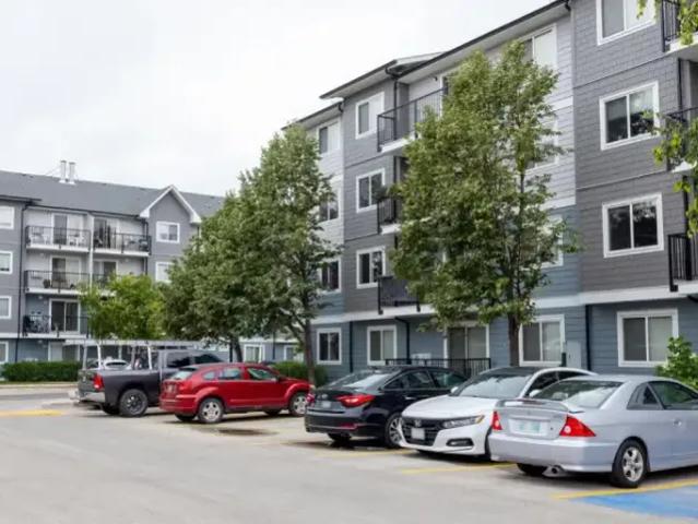 For Rent 2 Bedroom Apartment Winnipeg MB DS100667920