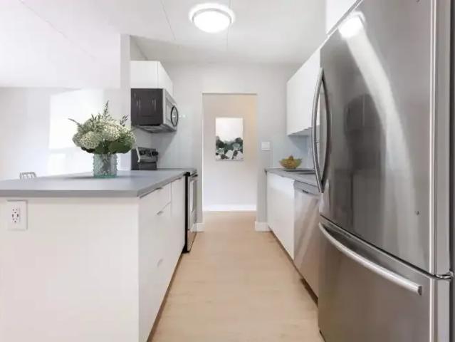 For Rent 2 Bedroom Apartment Windsor ON DLS102847181