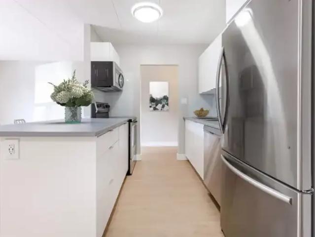 For Rent 2 Bedroom Apartment Windsor ON DS100807652