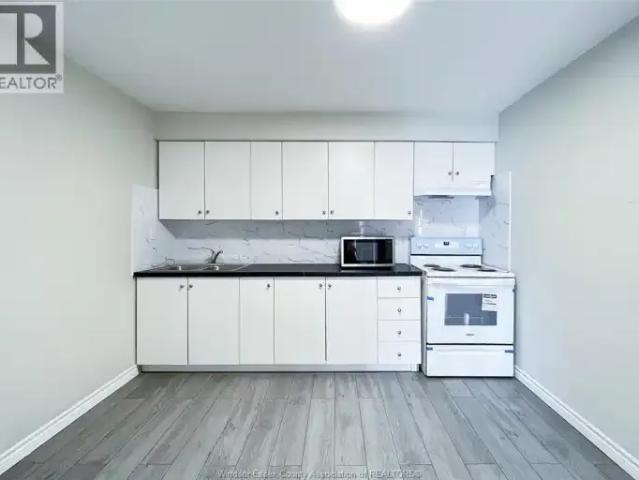 For Rent 2 Bedroom Apartment Windsor ON DS101877656